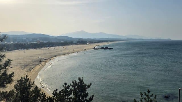 최강희