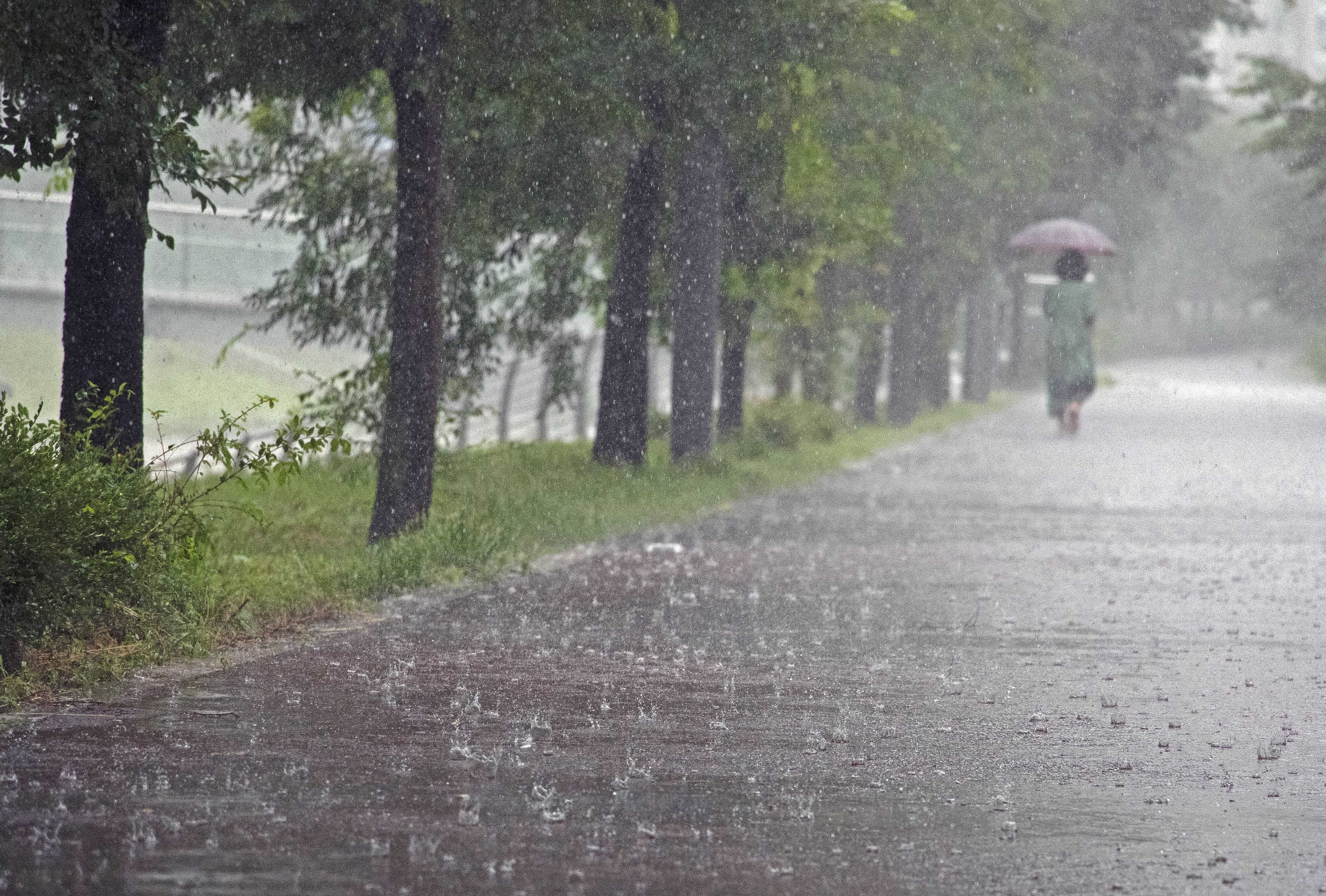 Korea-monsoon-Thumnail