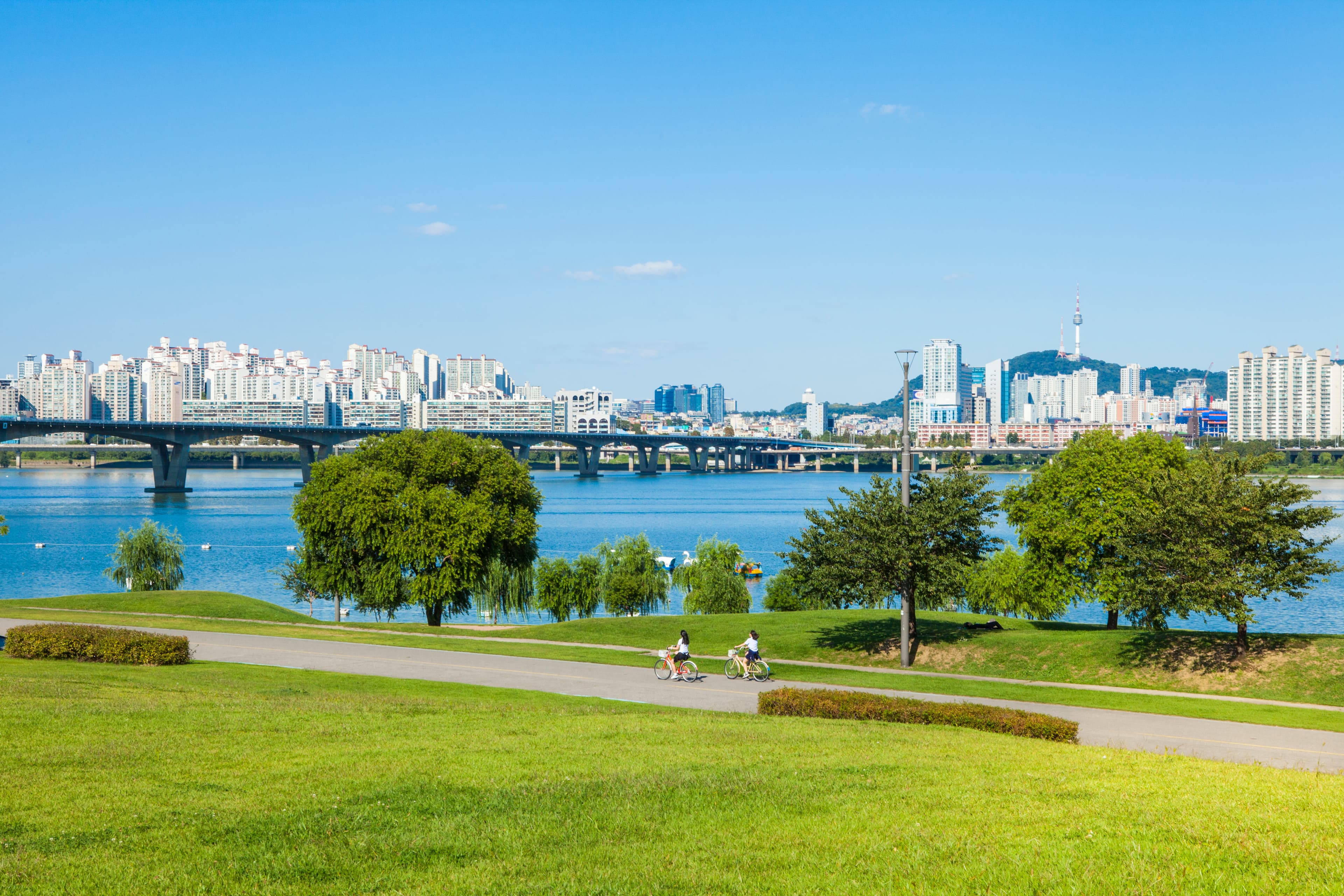 Han River picnic Seoul: Enjoy It Fully from Day to Night