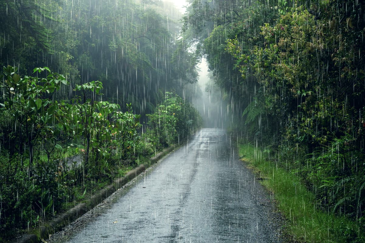 Korea-monsoon-06