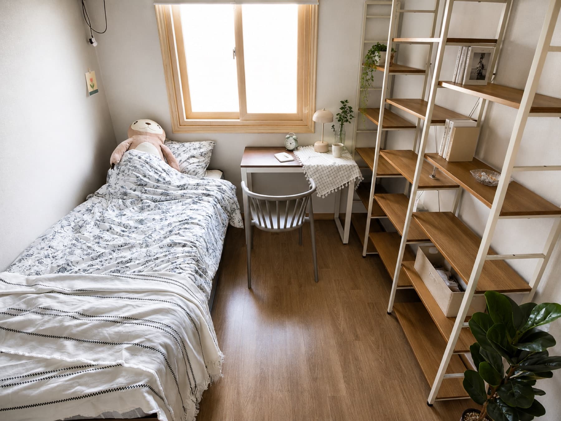 Room C (Single) — photo 9 of 9