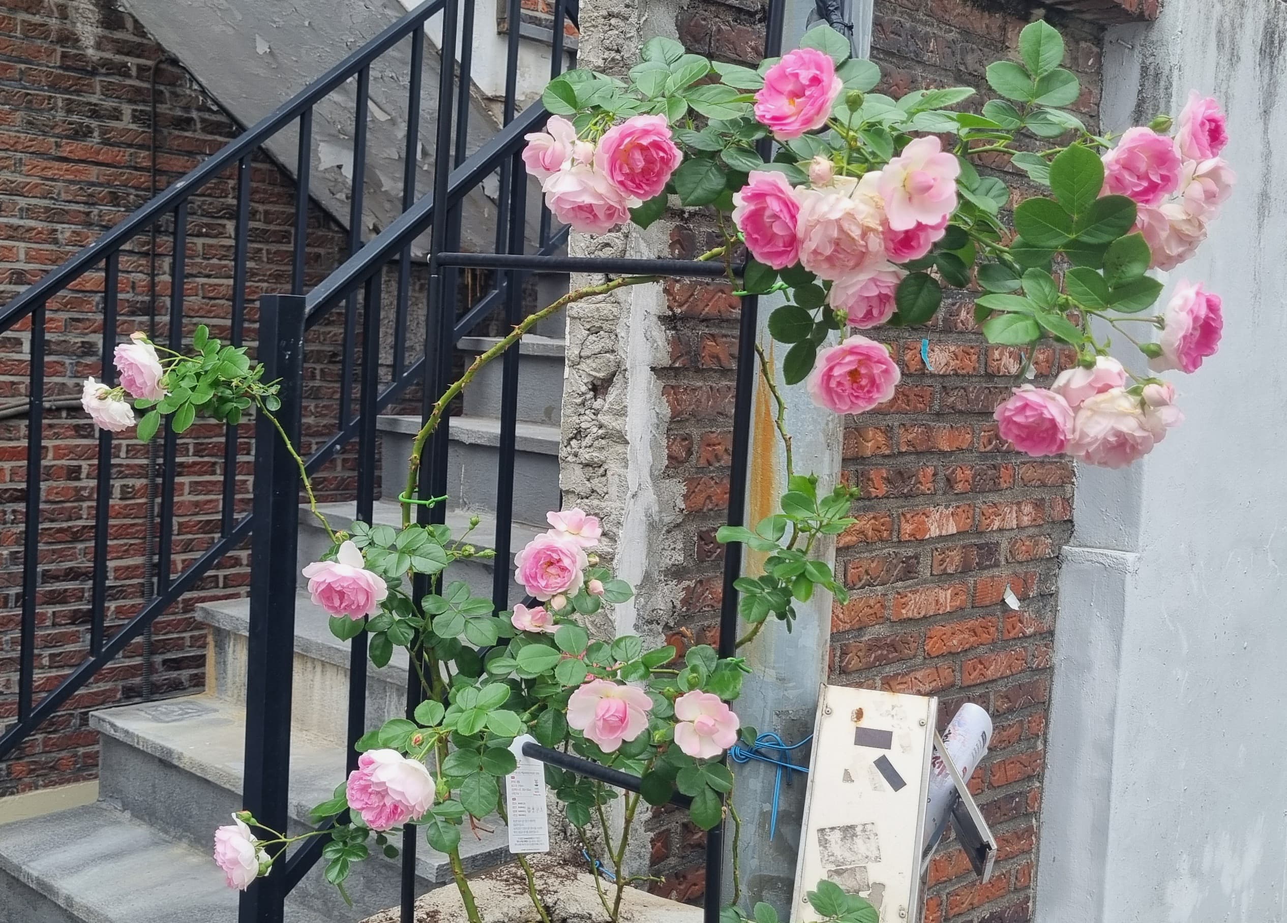 Women-Only Share House Near Hongdae