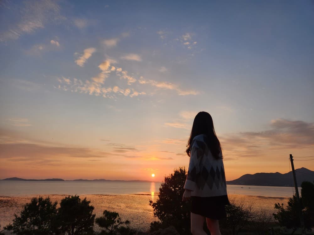 김보나