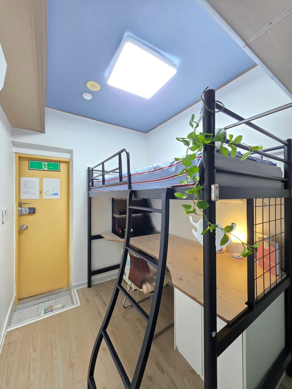 Blue House Hoegi-dong