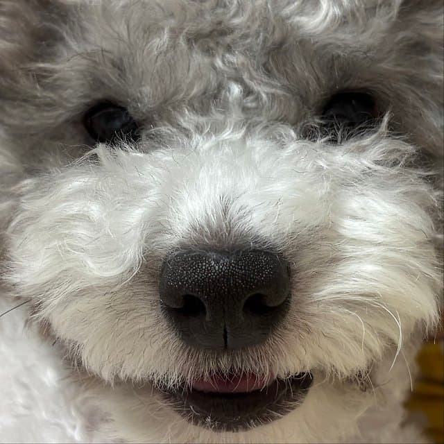 조종현