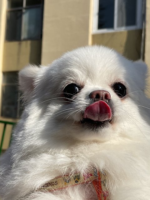 이호영