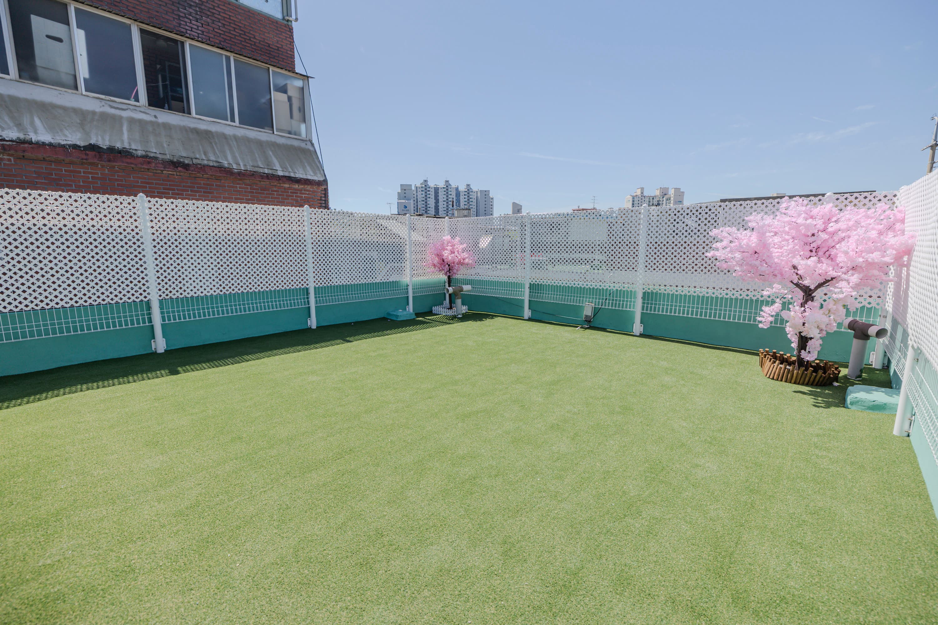 Seongsu blossoms rooftop🌸 — photo 1 of 11