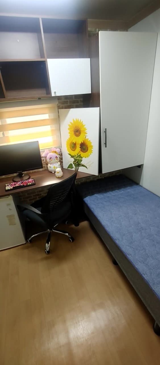 Standard — photo 1 of 2