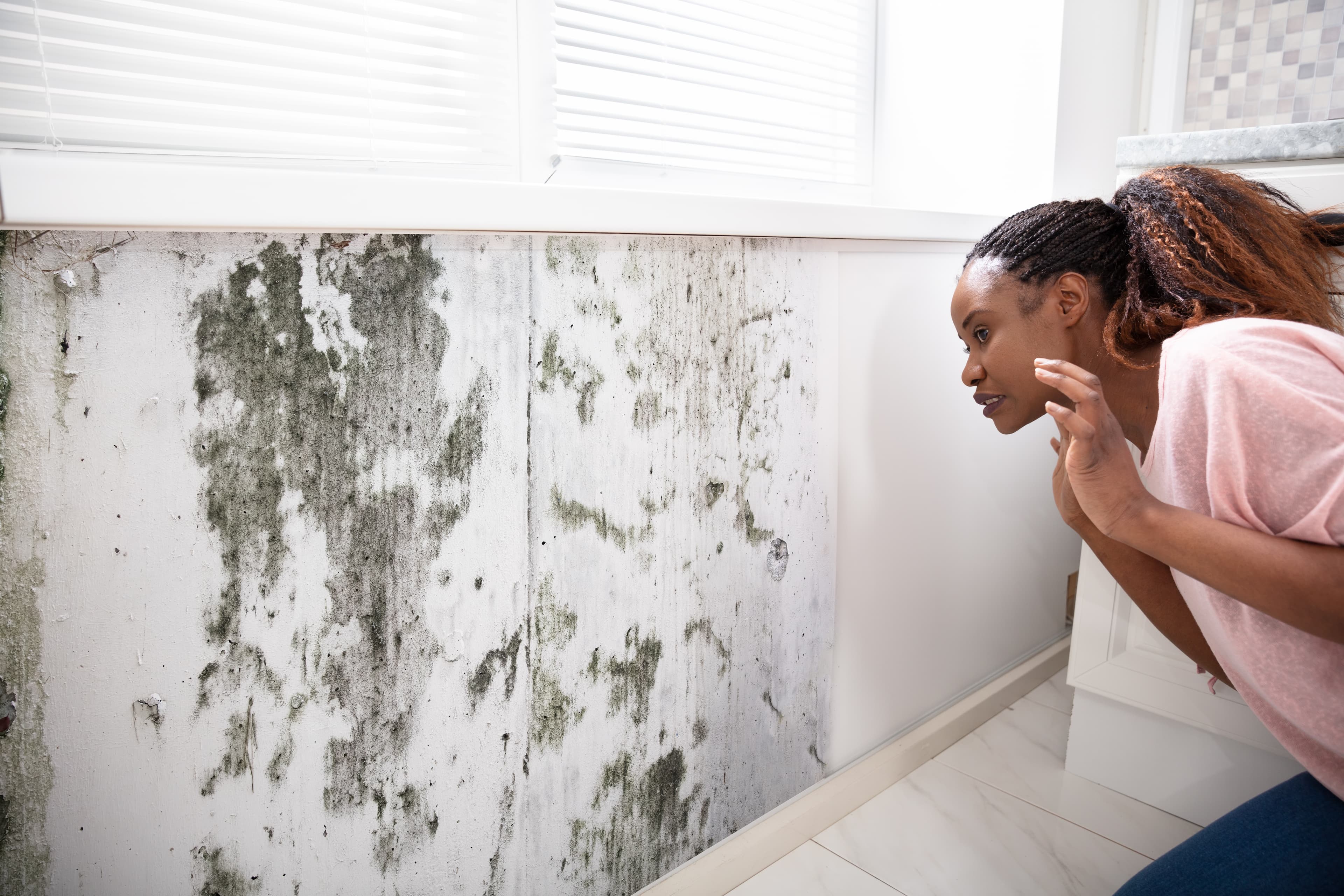 Korean Housing Winter Mold and Condensation Solutions