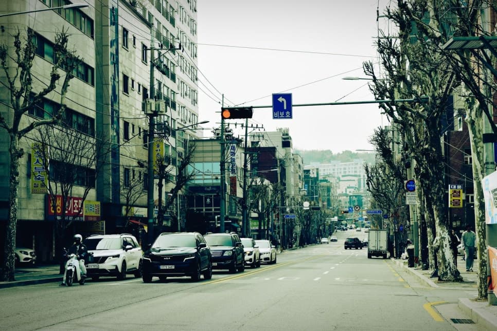 건물과 가로수가 늘어선 도로에 차량들이 있고 교차로에는 빨간 신호가 켜져 있다.