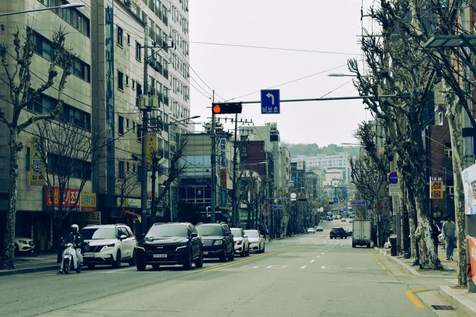 건물과 가로수가 늘어선 도로에 차량들이 지나가고 있다.