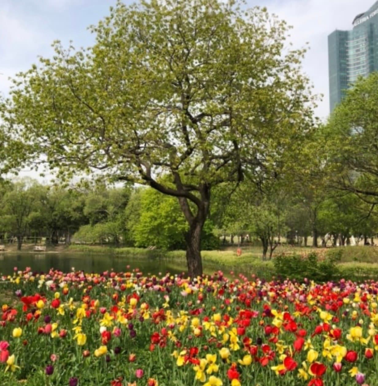 (성동구)풀옵션 쉐어하우스 — photo 4 of 4