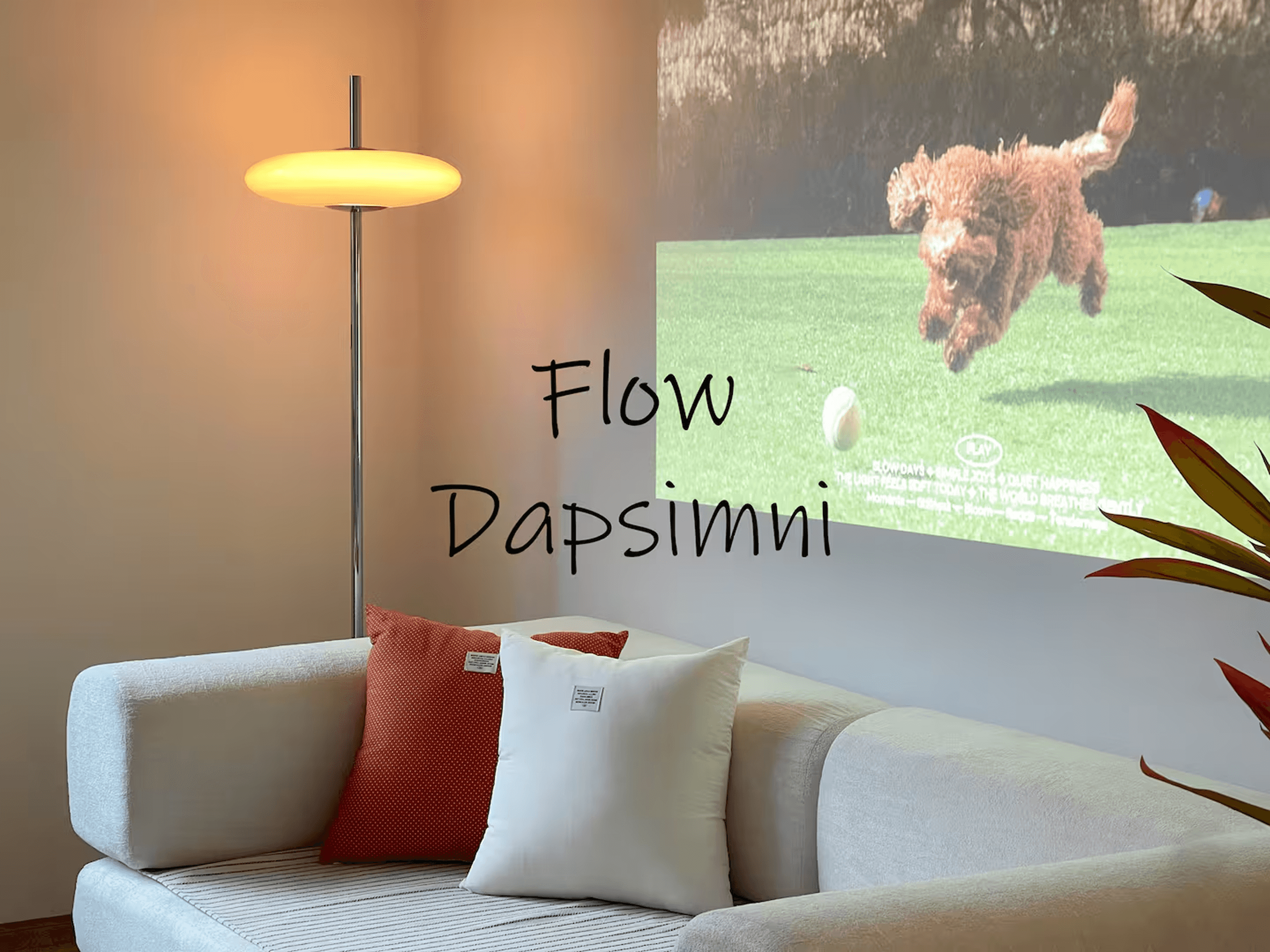 Flow Dapsimni โ photo 1 of 8