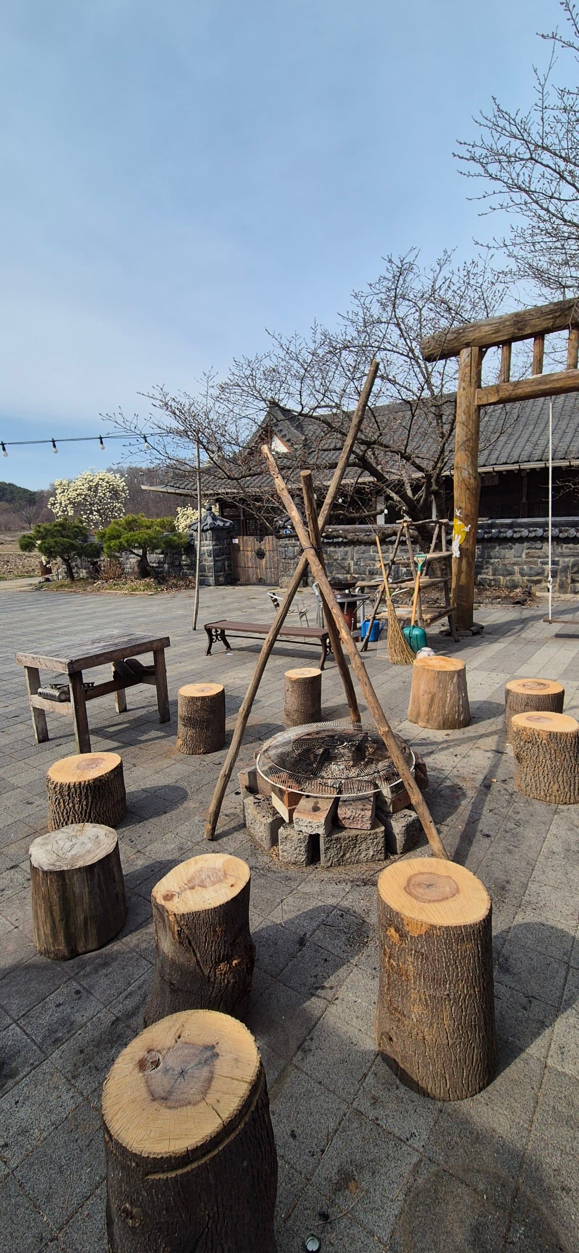 Sarangchae — photo 7 of 7