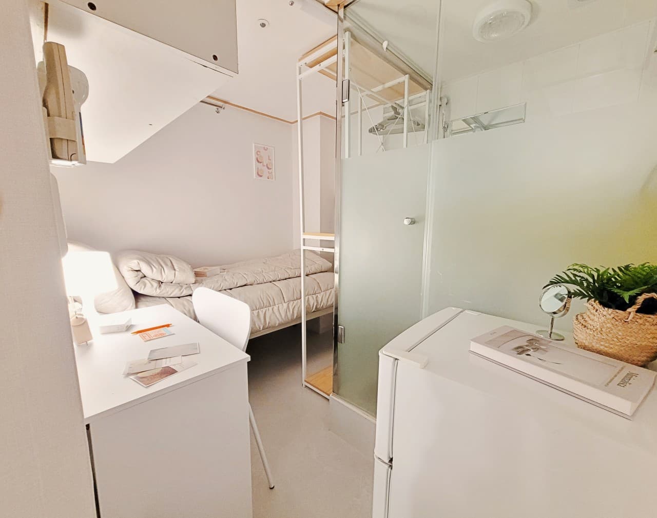 Standard C+ — photo 1 of 3